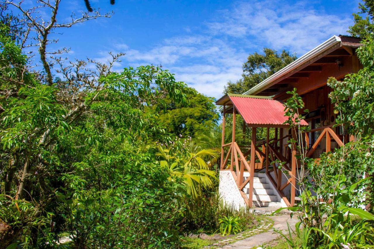Hotel Holistico Monteverde Extérieur photo