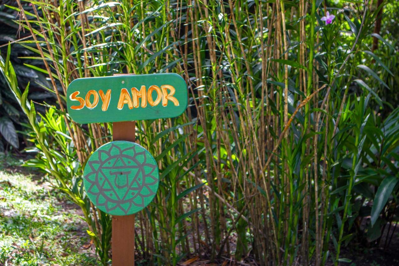 Hotel Holistico Monteverde Extérieur photo