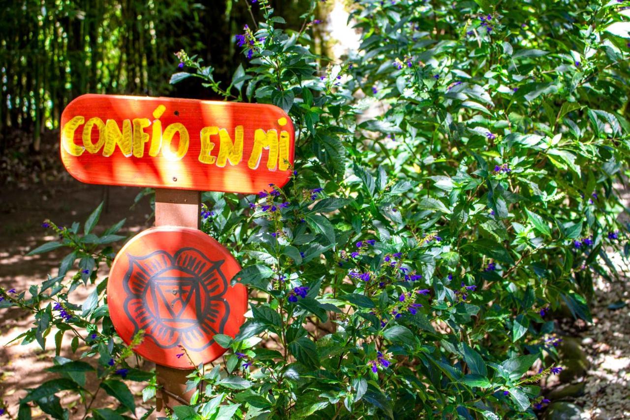 Hotel Holistico Monteverde Extérieur photo